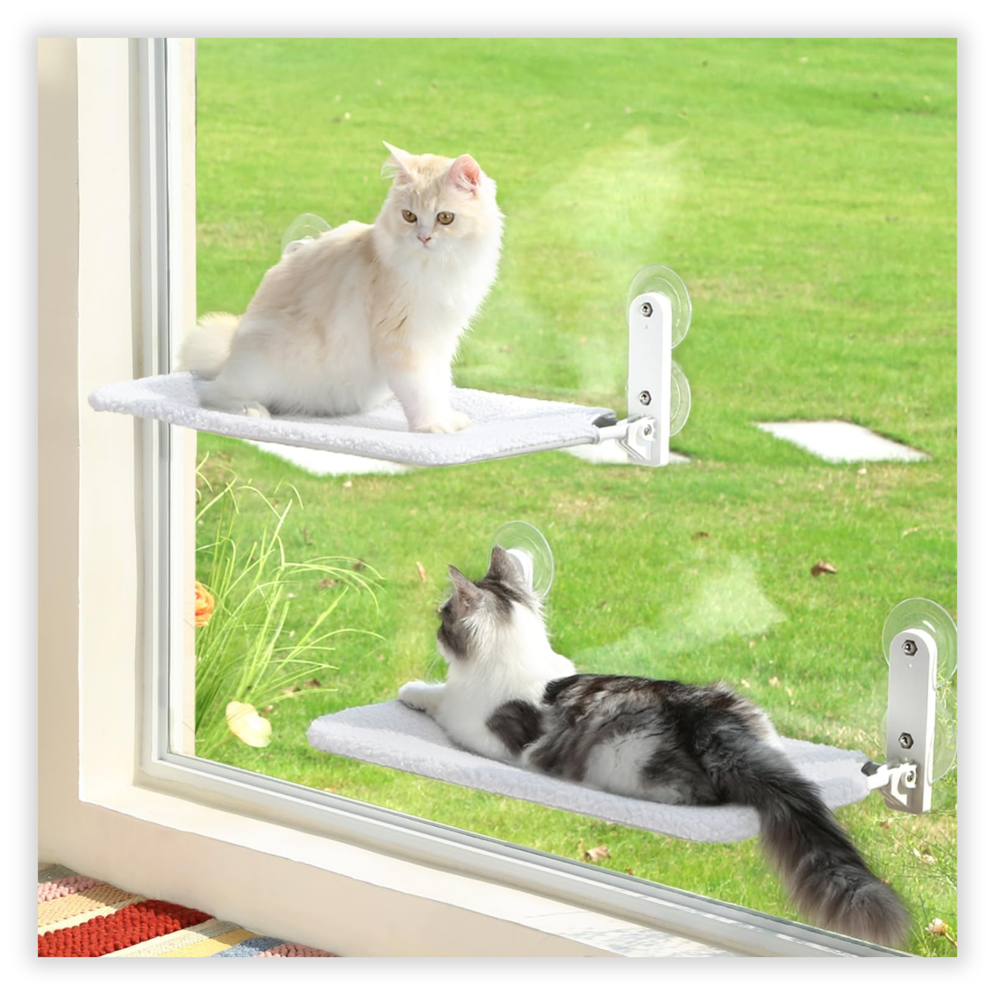 Shiropaws™ Hamaca Ventana Deluxe – El Rincón Favorito de Tu Gato