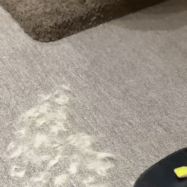 Shiropaws™ Guantes Quitapelo para Mascotas – Cepillado Suave y Sin Estrés